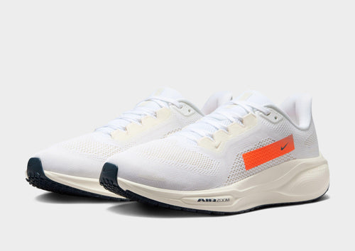 Pegasus 41