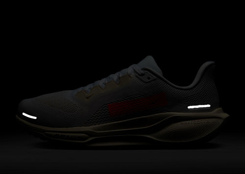 Pegasus 41