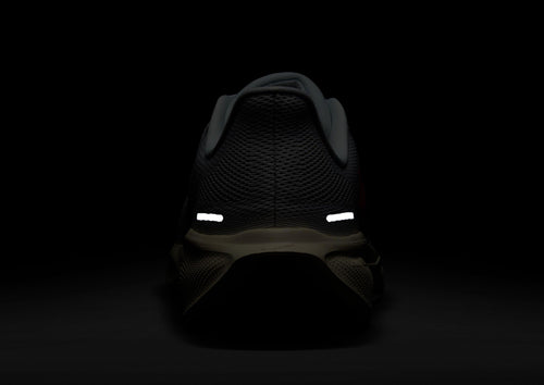 Pegasus 41