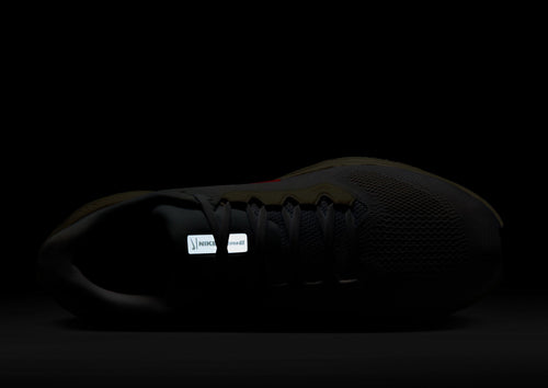 Pegasus 41
