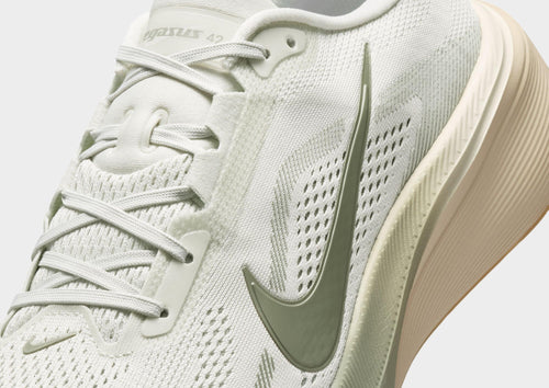 Pegasus 42