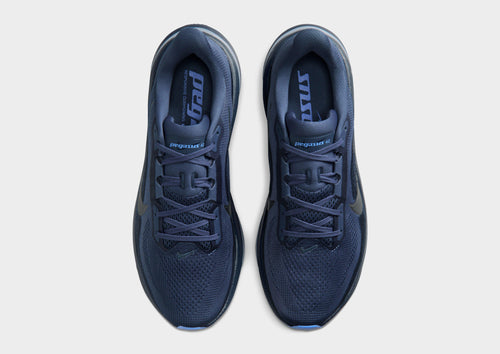 Pegasus 42