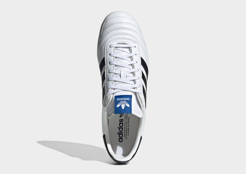 Gazelle Team
