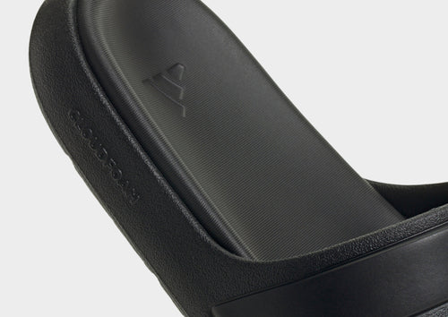 Znsory Slides