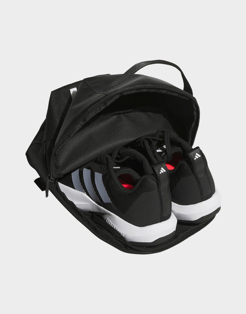 Shoes Bag