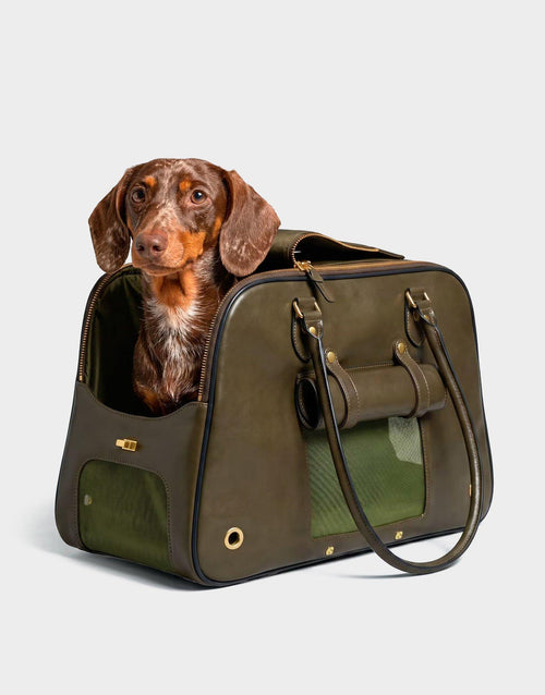 Pet Shoulder Bag Carrier