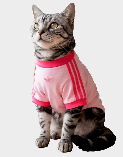 Pet Cali T-Shirt