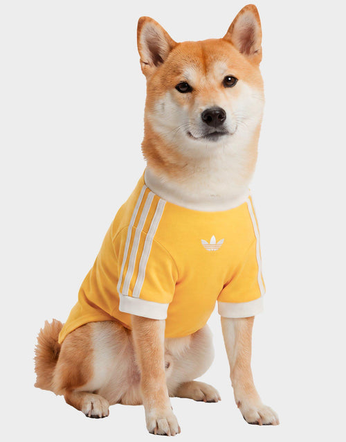 Pet Cali T-Shirt
