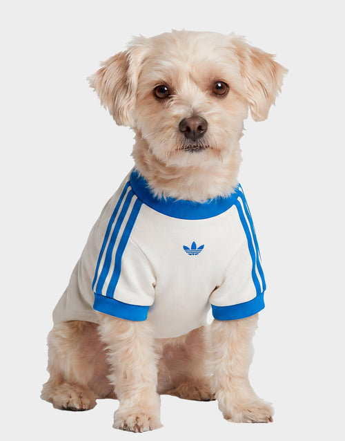 Pet Cali T-Shirt