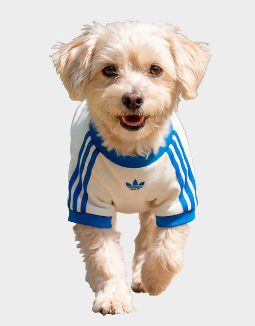 Pet Cali T-Shirt