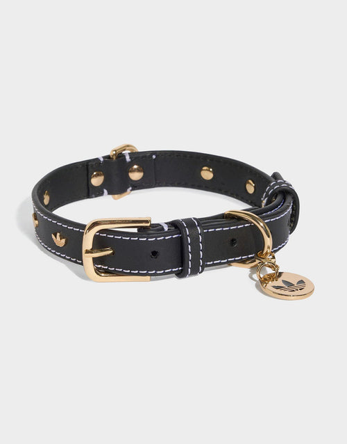 Pet Collar