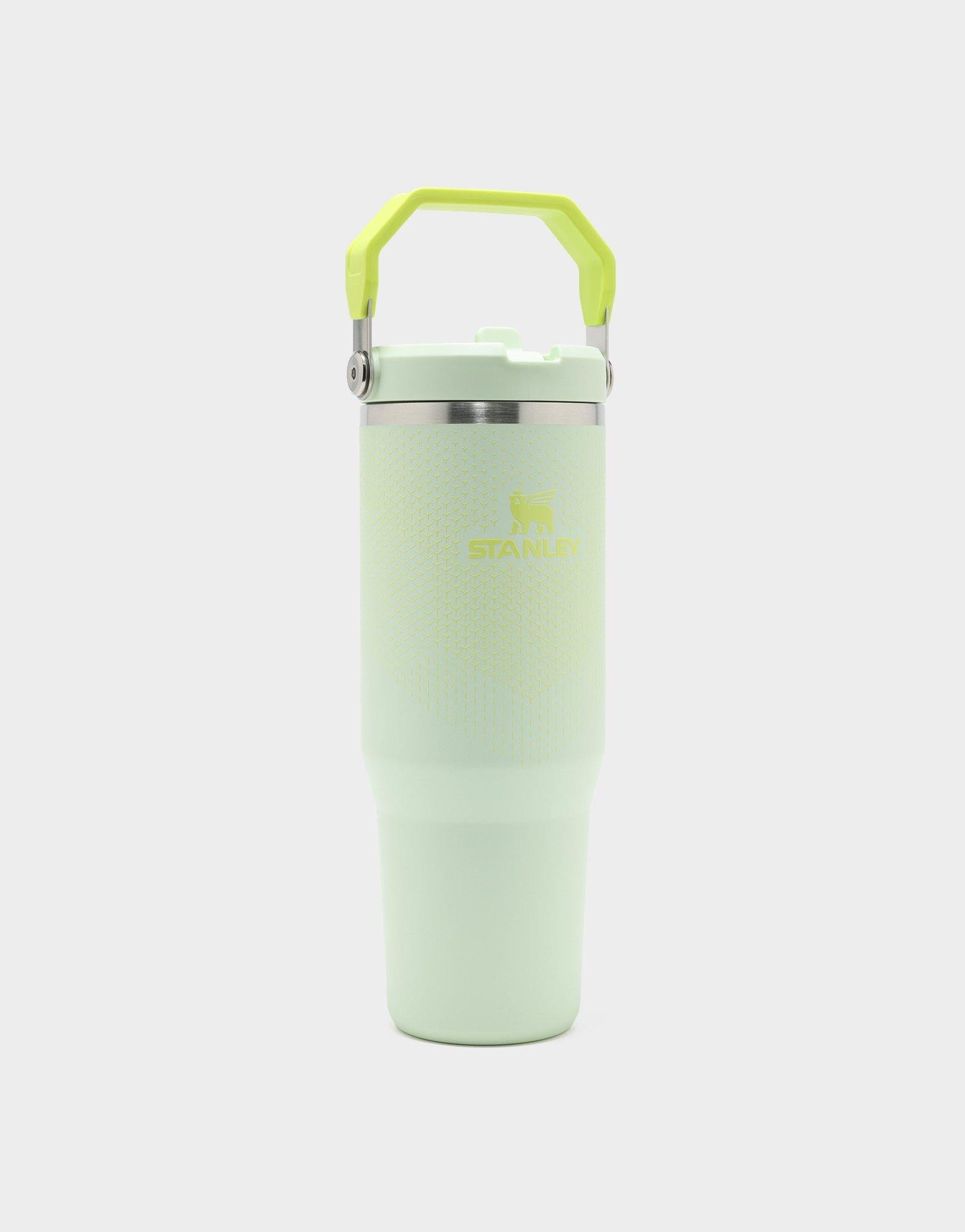 30oz IceFlow Flip Straw 2.0 Tumbler