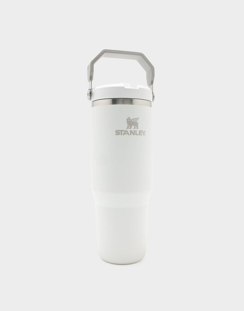 IceFlow Flip Straw Tumbler 2.0