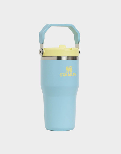20oz IceFlow Flip Straw Tumbler