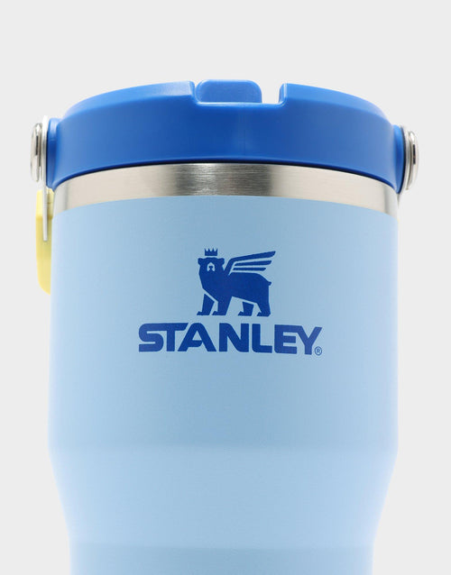 20oz IceFlow Flip Straw Tumbler