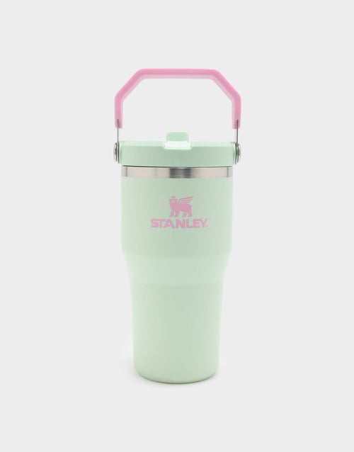 20oz IceFlow 2.0 Flip Straw Tumbler