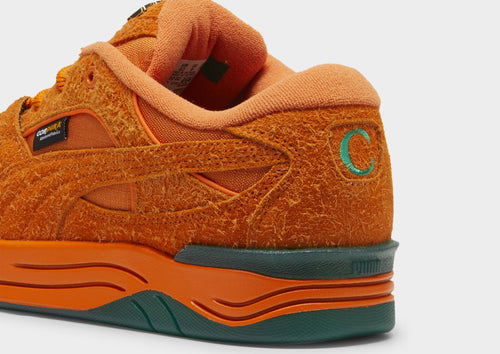Carrots 180