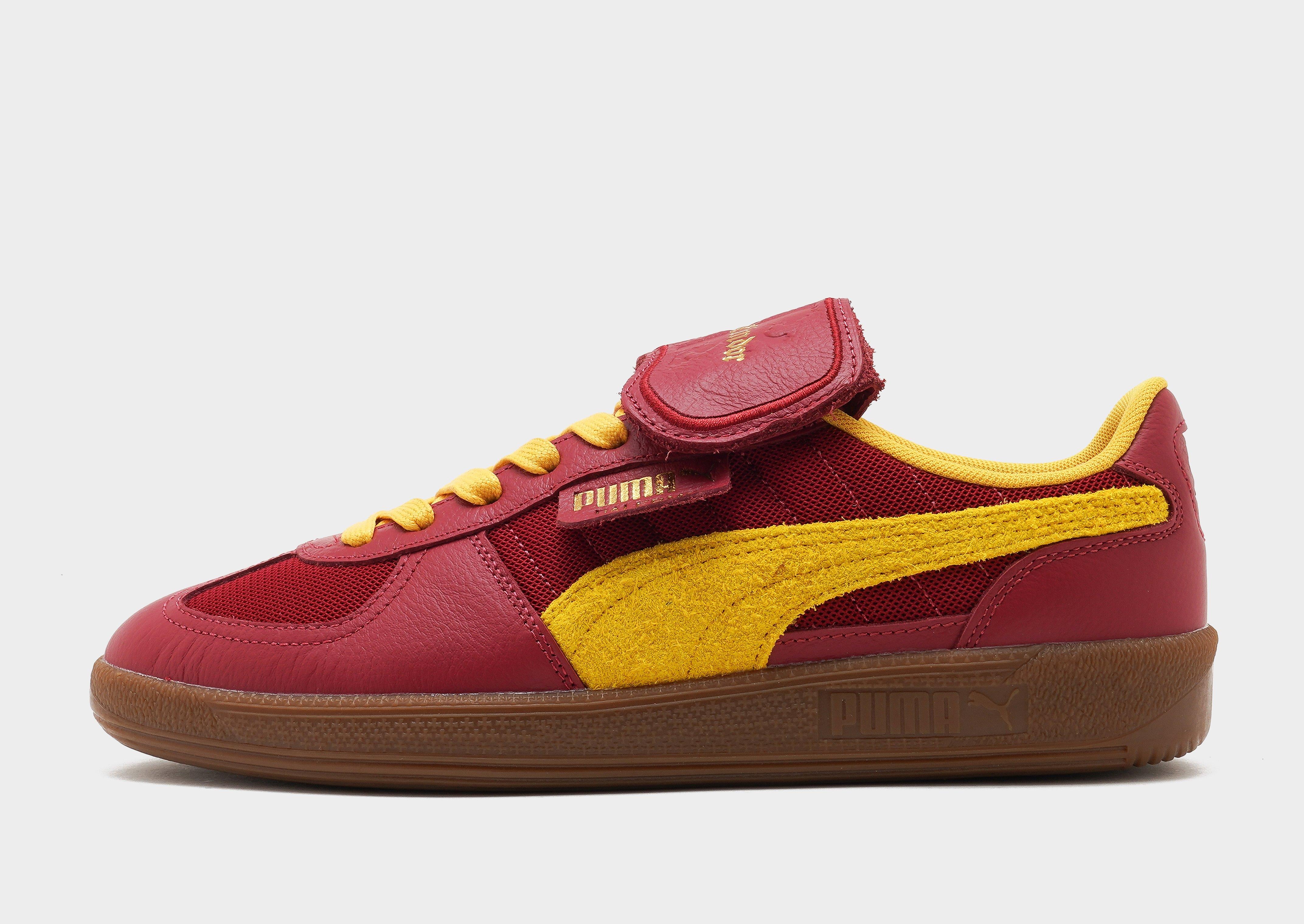 Palermo Harry Potter