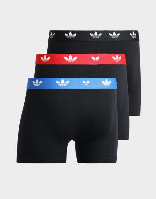 3-Pack Trunk