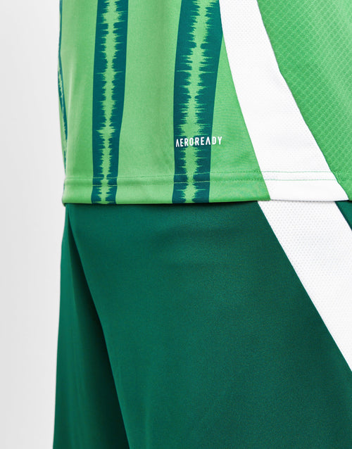 Northern Ireland 2024 Home Shirt