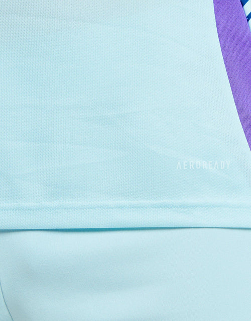 Scotland 2024 Away Shirt