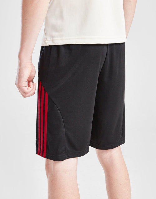Liverpool FC 2025/26 Away Shorts Junior's