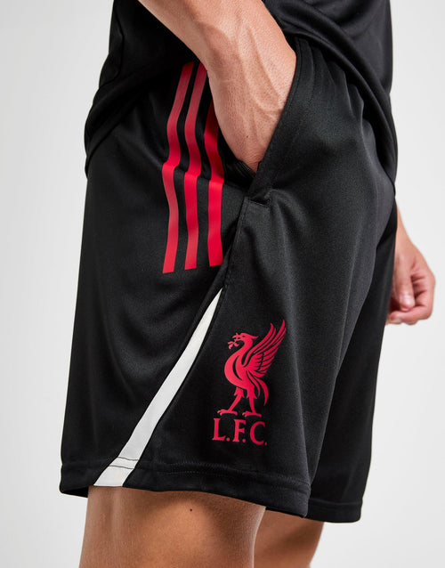 Liverpool FC Training Shorts