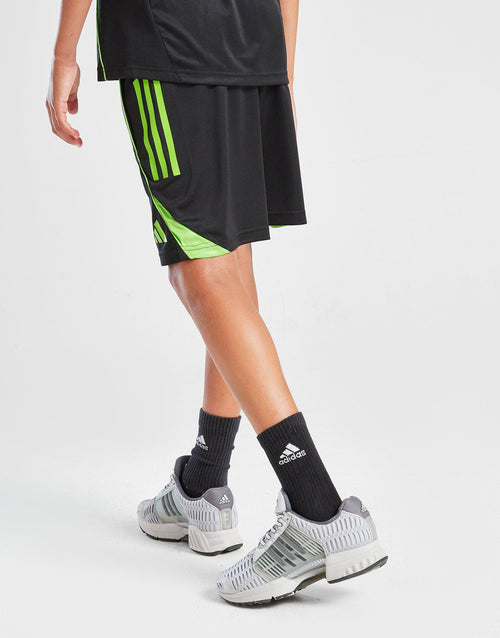 Celtic Training Shorts Junior