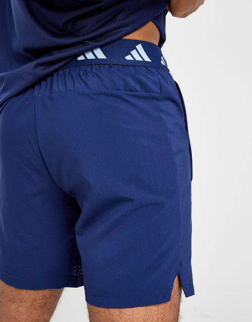Climacool Shorts