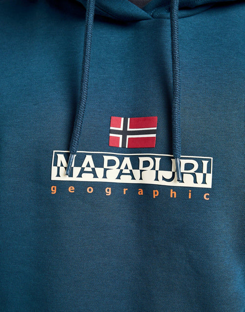 Bory Logo Hoodie