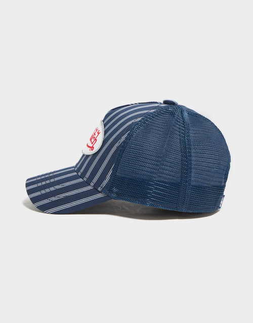 Stripe Trucker Cap