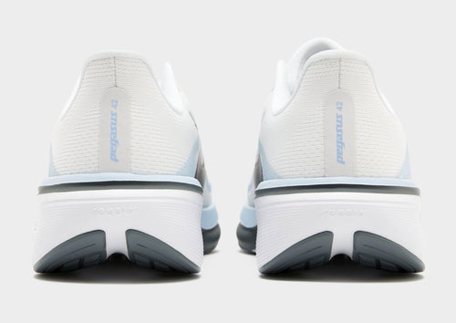 Pegasus 42
