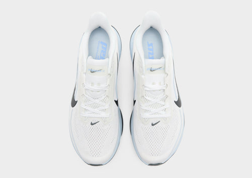 Pegasus 42