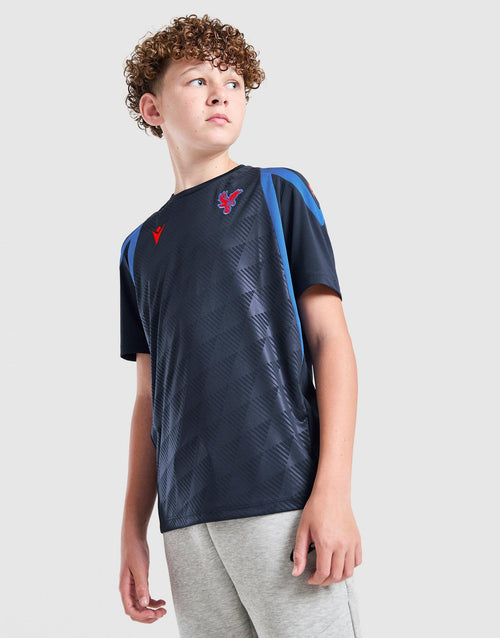 Crystal Palace FC 2026/27 Training Shirt Junior