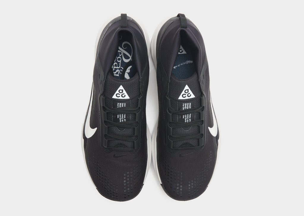 Pegasus Trail 4 GORE-TEX