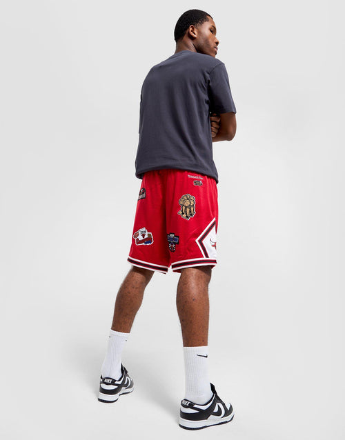 Champions Shorts Bulls