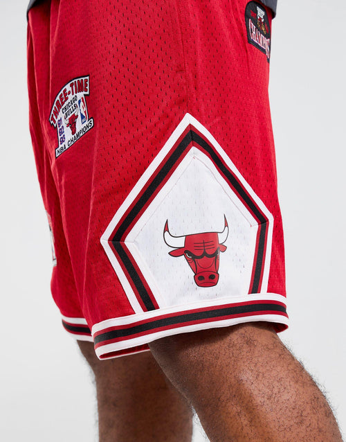Champions Shorts Bulls