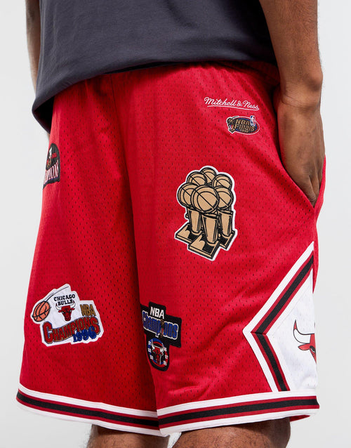 Champions Shorts Bulls