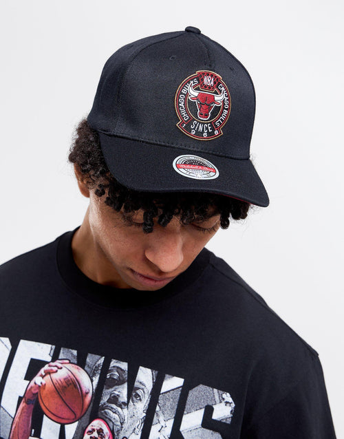 Bulls Cap