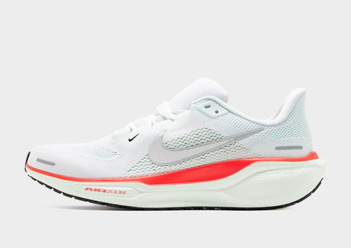 Pegasus 41