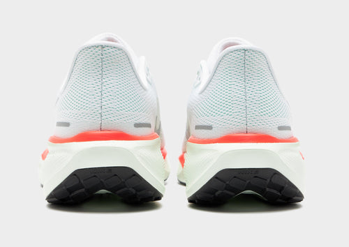 Pegasus 41
