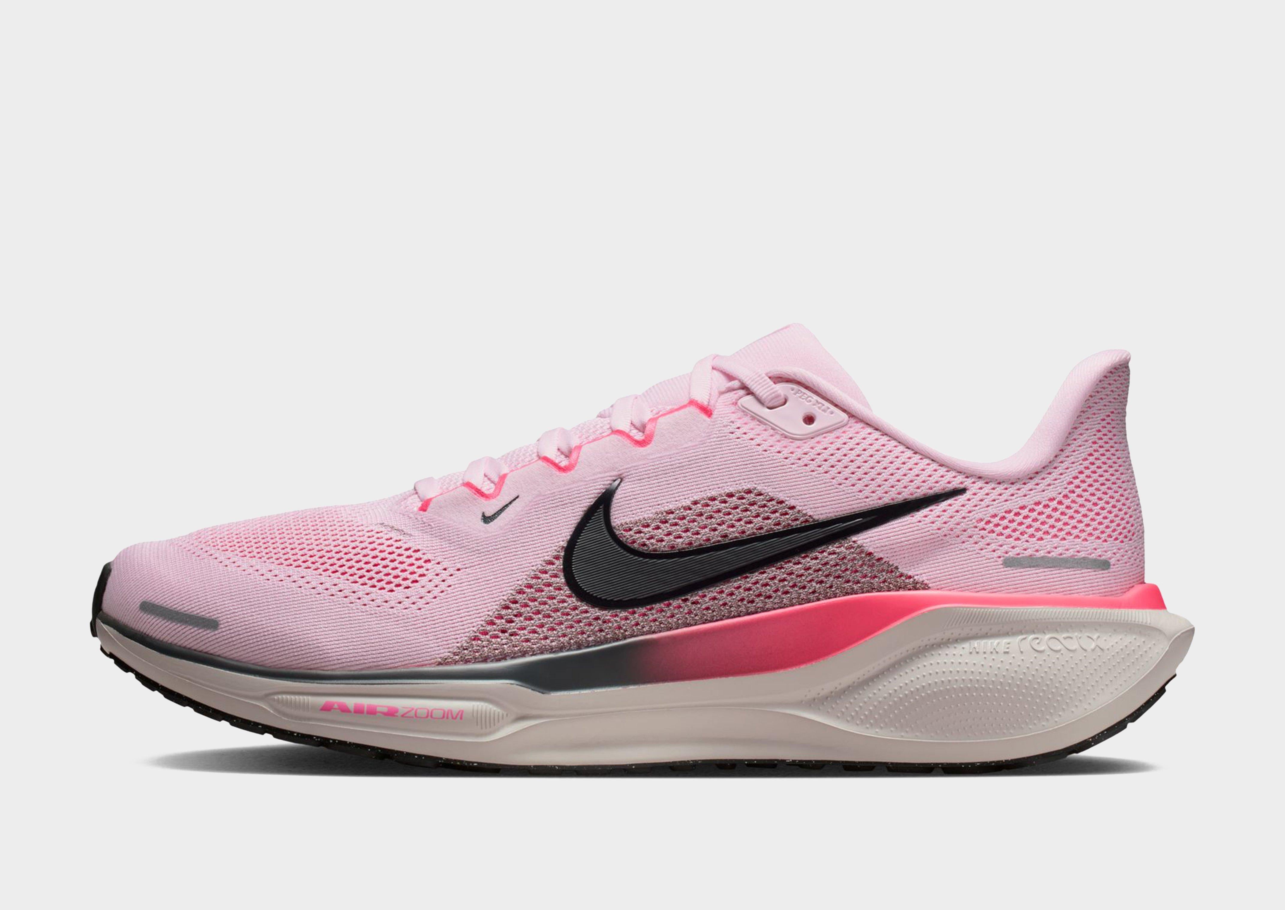 Pegasus 41