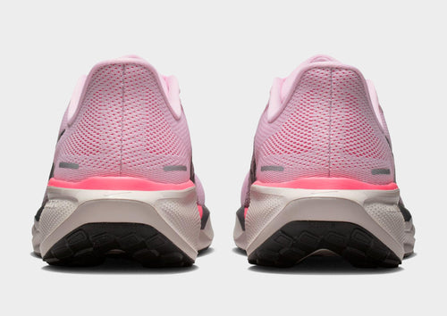 Pegasus 41