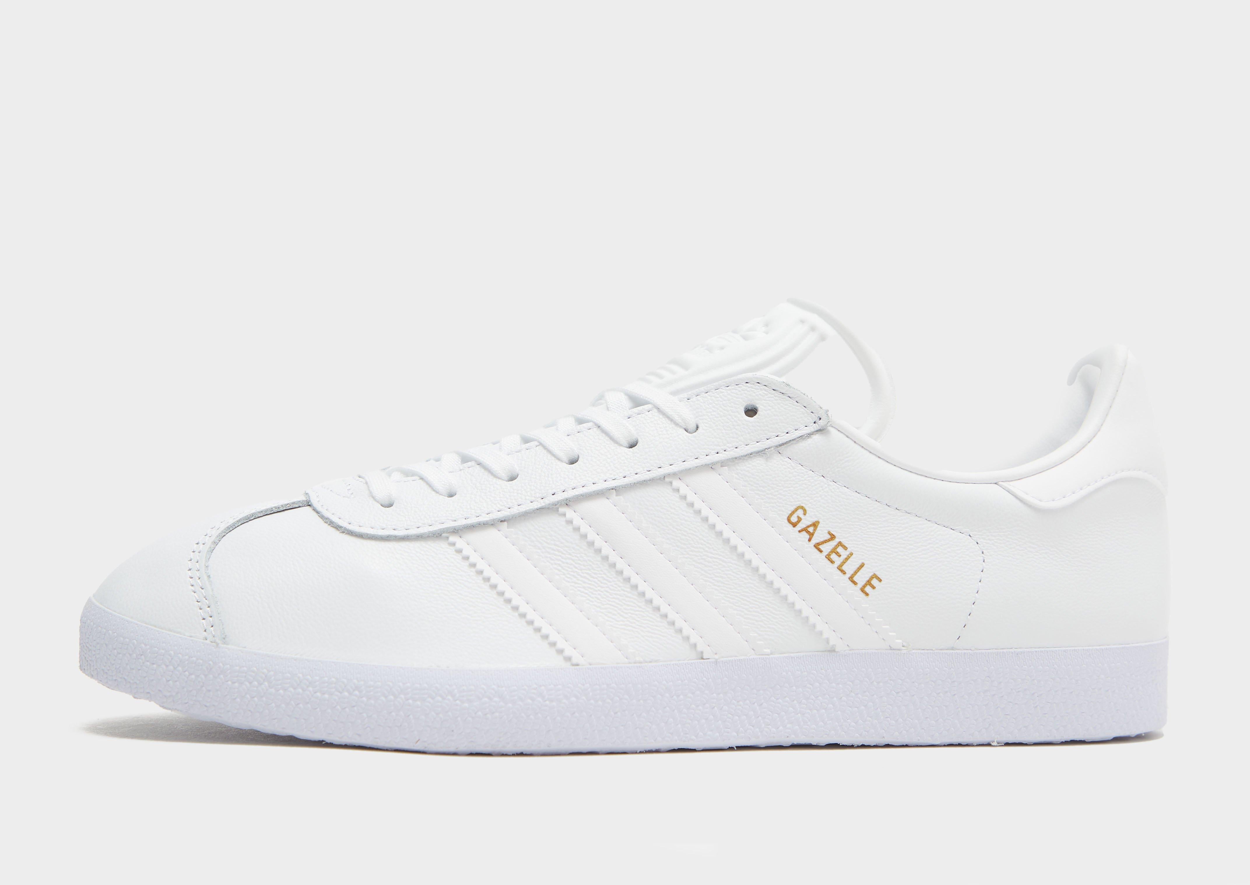 Gazelle