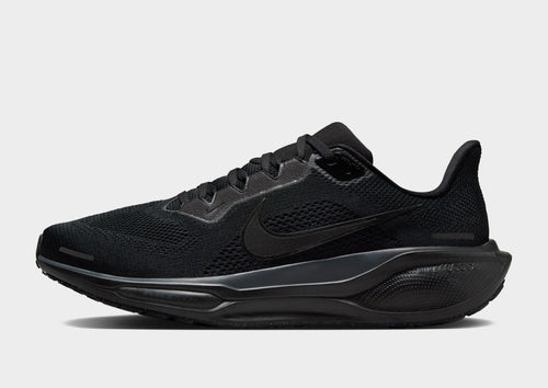 Pegasus 41
