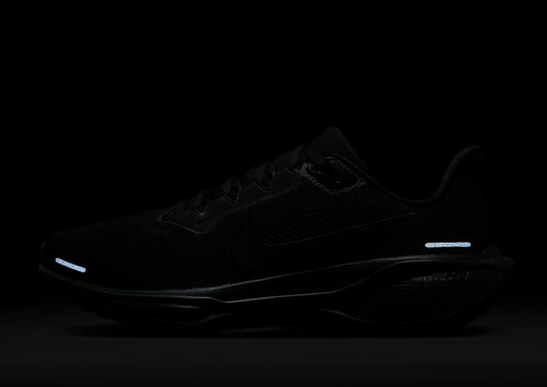 Pegasus 41