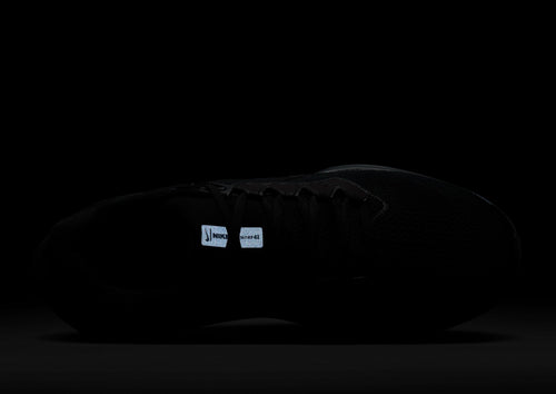 Pegasus 41
