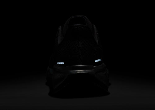 Pegasus 41