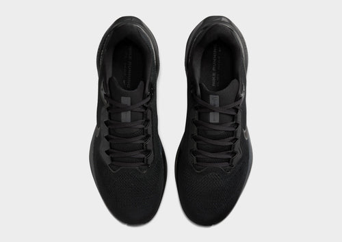 Pegasus 41