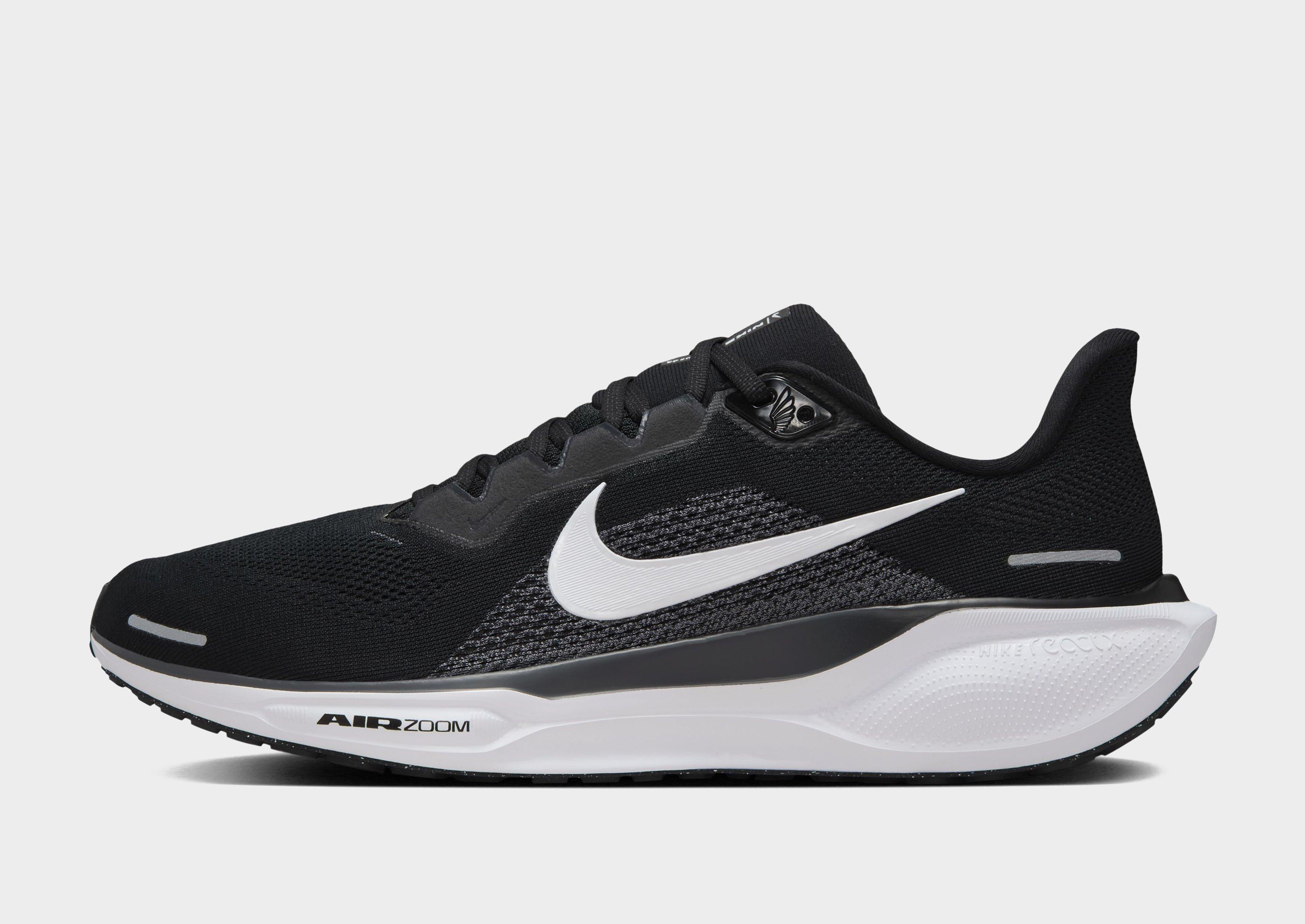 Pegasus 41